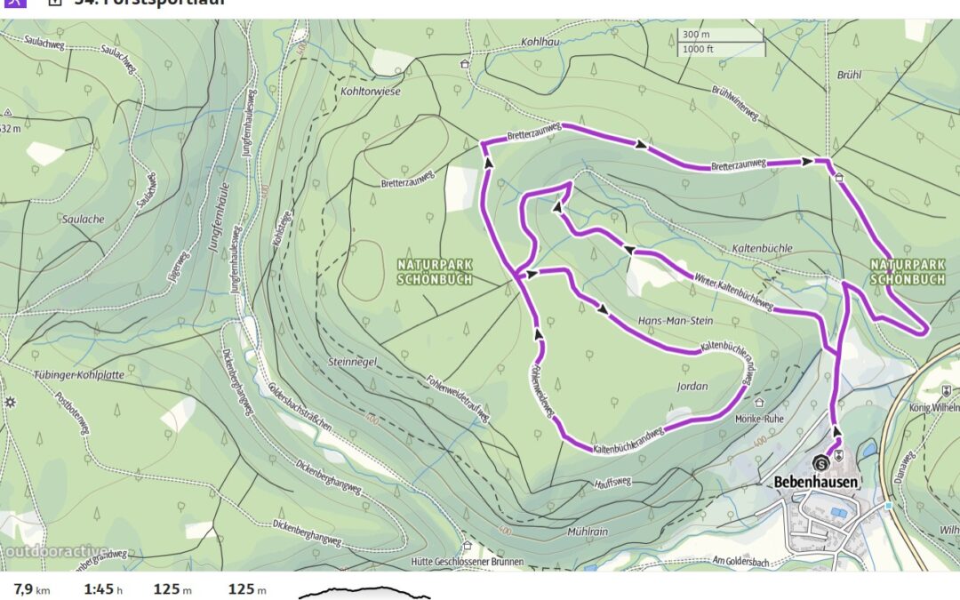 Jetzt zum 34.Forstsportlauf am 26.10. 2025 anmelden