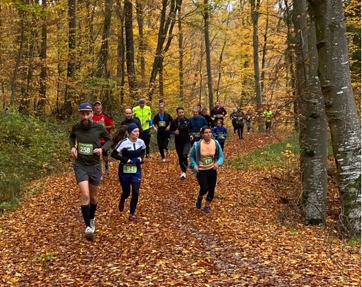 Das große Herbstlaufabenteuer in Tübingen – einfach schön!